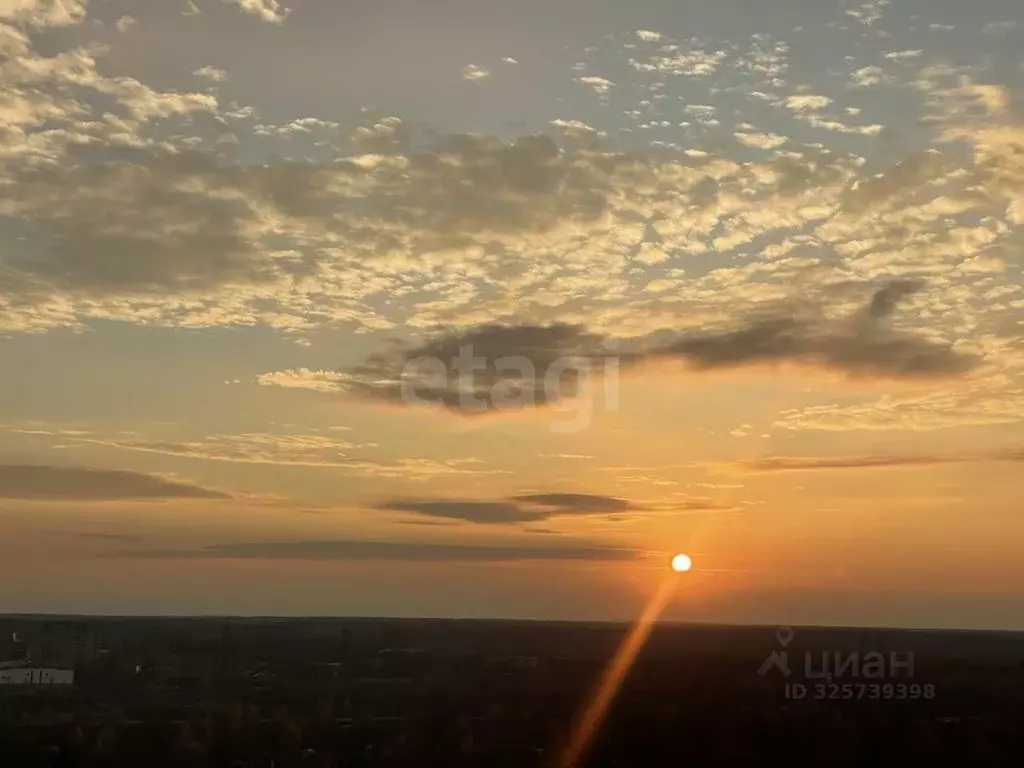 1-к кв. Москва Ленинградское ш., 228к4 (28.0 м) - Фото 2