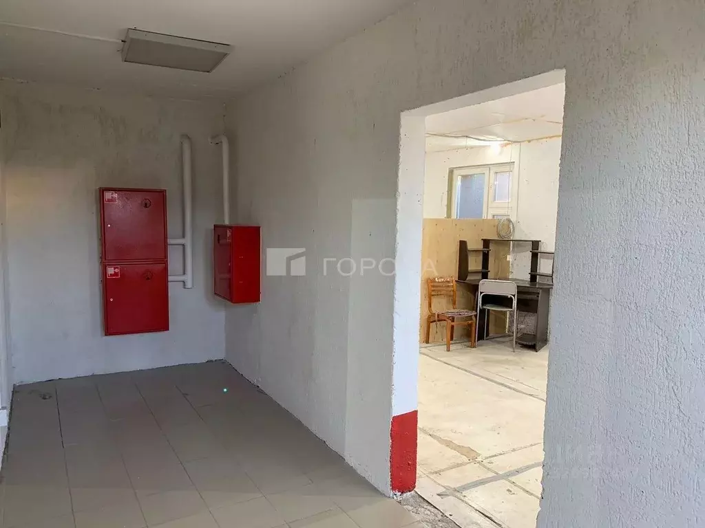 Помещение свободного назначения в Новосибирская область, Новосибирск ... - Фото 2