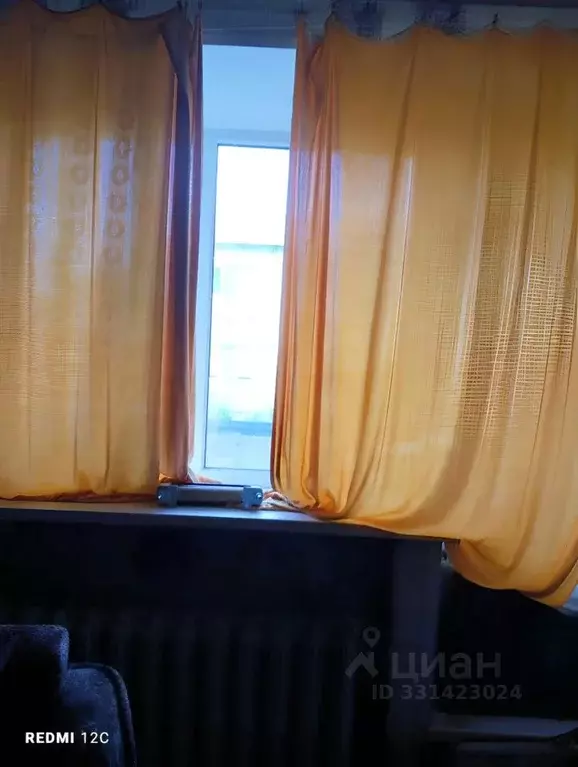 2-к кв. Нижегородская область, Богородский муниципальный округ, с. ... - Фото 2