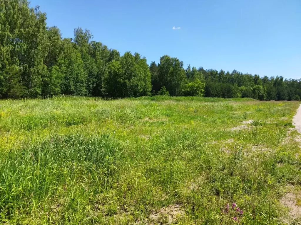 Участок в Татарстан, Лаишевский район, Егорьевское с/пос, д. Зимняя ... - Фото 1