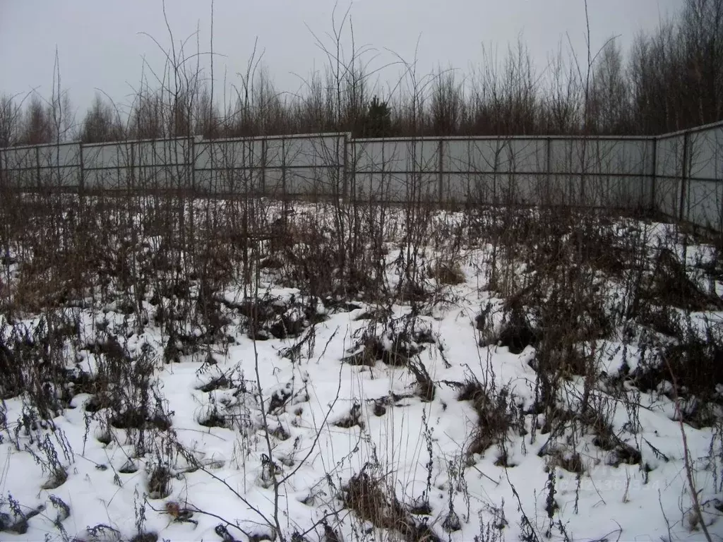 Участок в Тверская область, Калининский муниципальный округ, д. ... - Фото 2