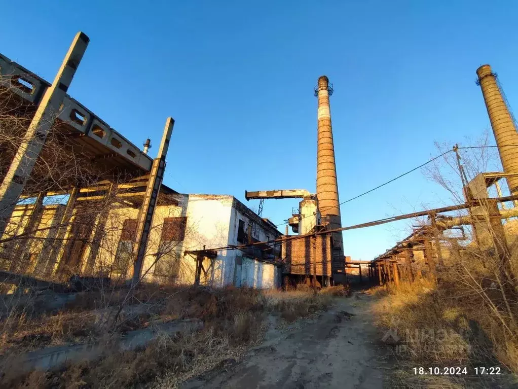 Помещение свободного назначения в Бурятия, Улан-Удэ ул. Борсоева, 109 ... - Фото 0