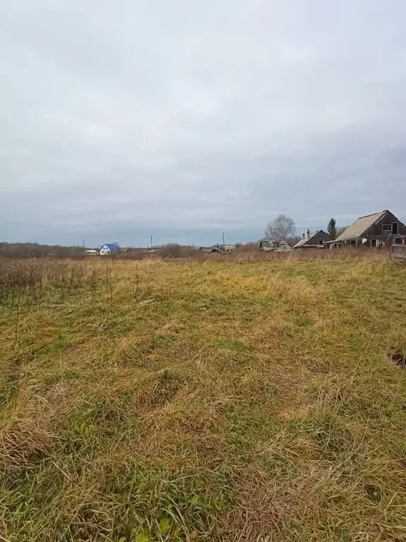 Участок в Новосибирская область, Тогучинский район, д. Аплаксино ул. ... - Фото 0