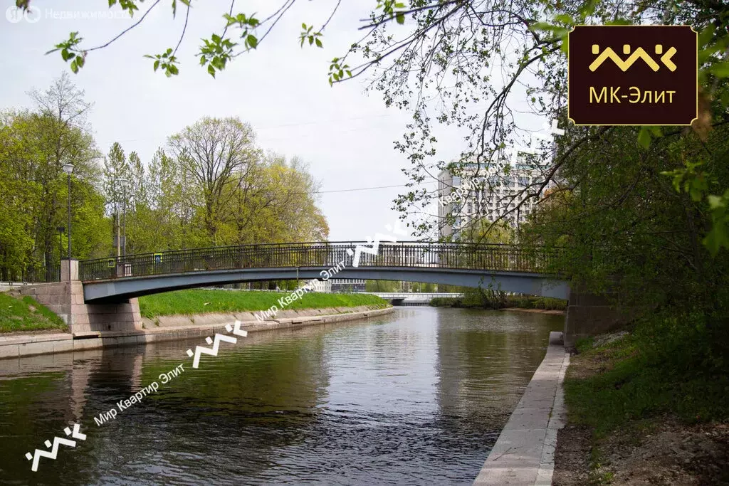 Помещение свободного назначения (314.51 м) - Фото 1