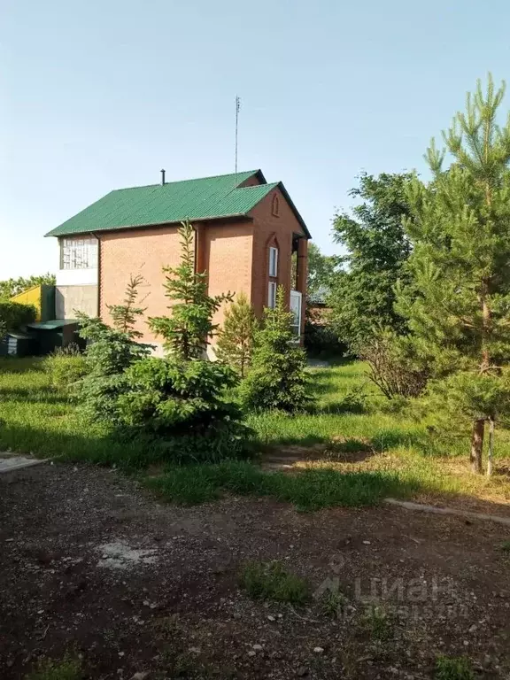 Дом в Курганская область, Щучанский муниципальный округ, д. Фролиха  ... - Фото 1