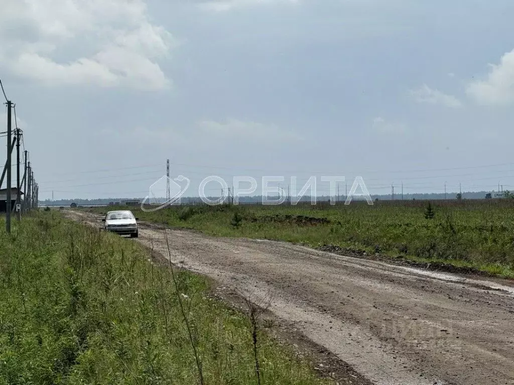 Участок в Тюменская область, Тюменский муниципальный округ, д. Елань ... - Фото 1