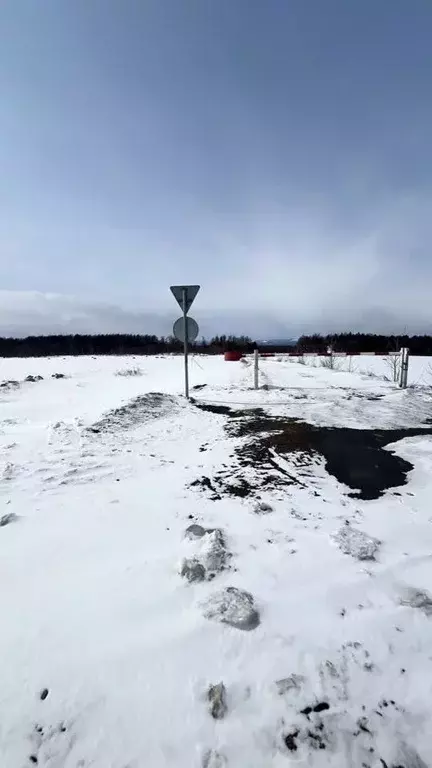 Участок в Сахалинская область, Анивский городской округ, с. Мицулевка ... - Фото 1