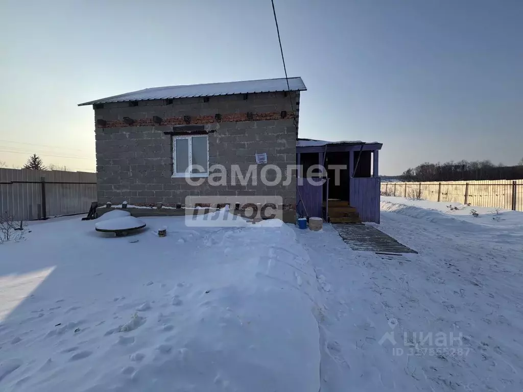 Дом в Амурская область, Благовещенский район, с. Новотроицкое  (50 м) - Фото 1