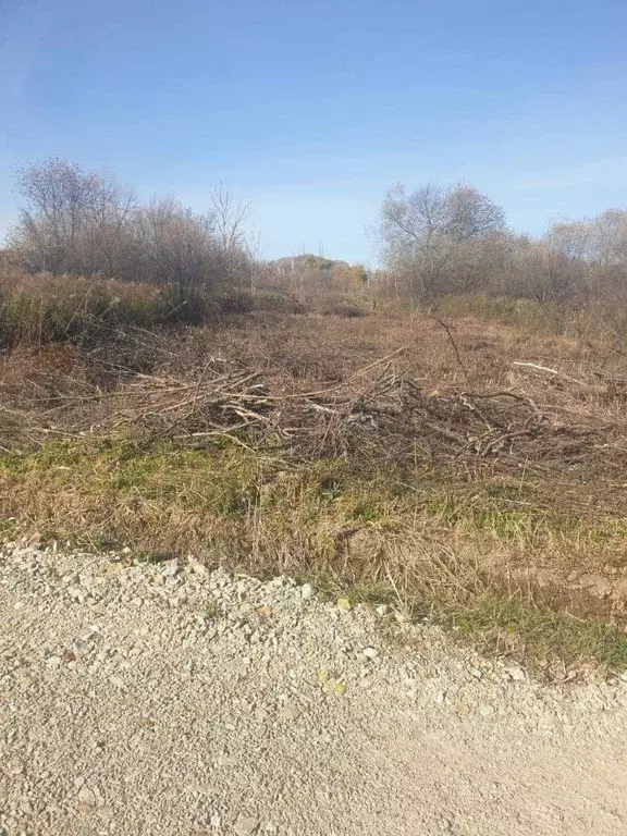 Дом в Хабаровский край, Хабаровск Березка-2 СНТ, 106 (20 м) - Фото 1