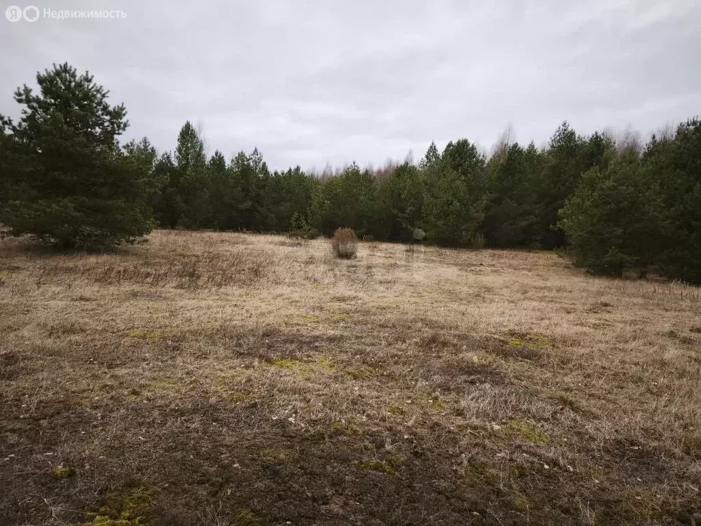 Участок в Харламовская, Яблочная улица (320 м) - Фото 1