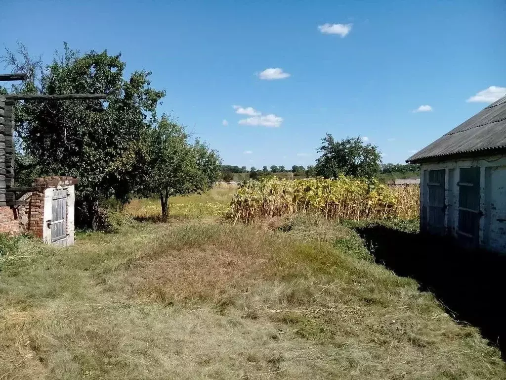 Участок в Белгородская область, Алексеевский муниципальный округ, с. ... - Фото 0