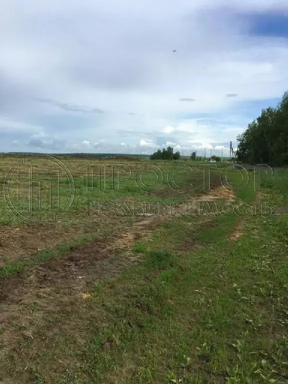 Продается участок в д. Холмы - Фото 1