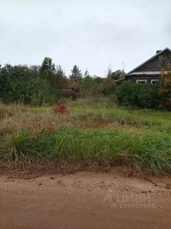 Помещение свободного назначения в Новгородская область, Боровичский ... - Фото 2