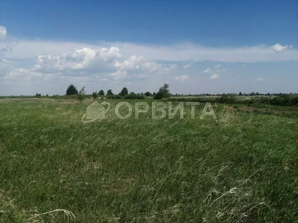 Участок в Тюменская область, Тюмень  (410.0 сот.) - Фото 1