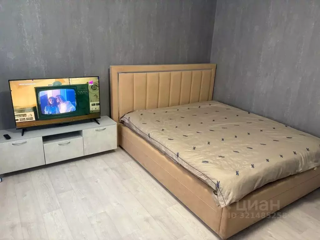 Студия Татарстан, с. Пестрецы ул. Казанская, 1А (37.0 м) - Фото 2