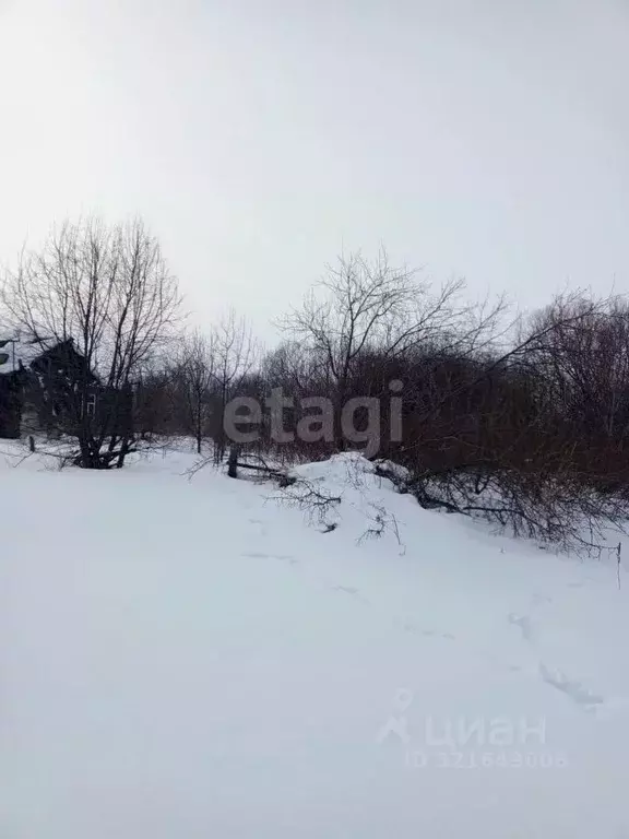 Участок в Алтайский край, Алтайский район, с. Нижнекаменка Сибирский ... - Фото 1