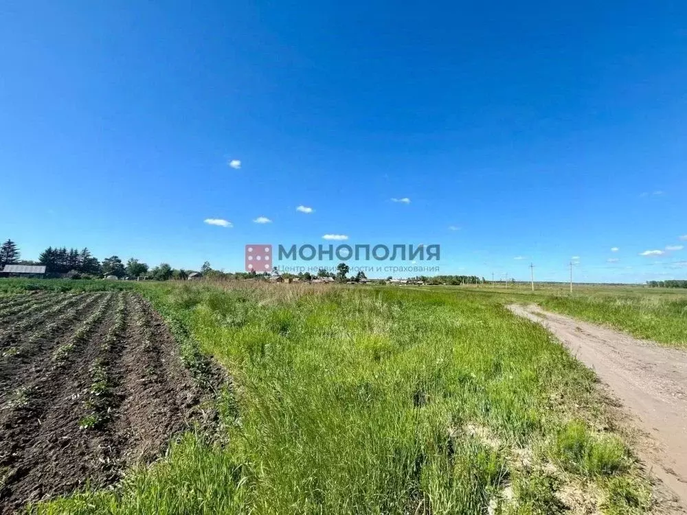 участок в амурская область, белогорск городской округ, с. низинное ул. . - Фото 0