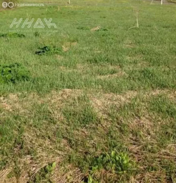 Участок в Нижегородская область, Богородский муниципальный округ, ... - Фото 2