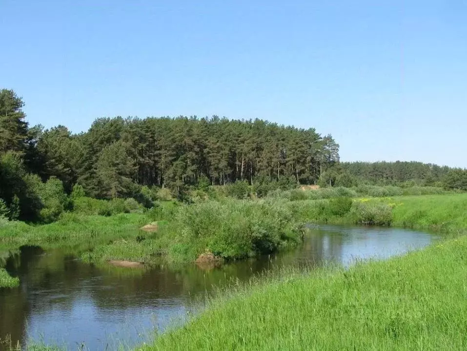 Участок в Тверская область, Калининский муниципальный округ, д. ... - Фото 0