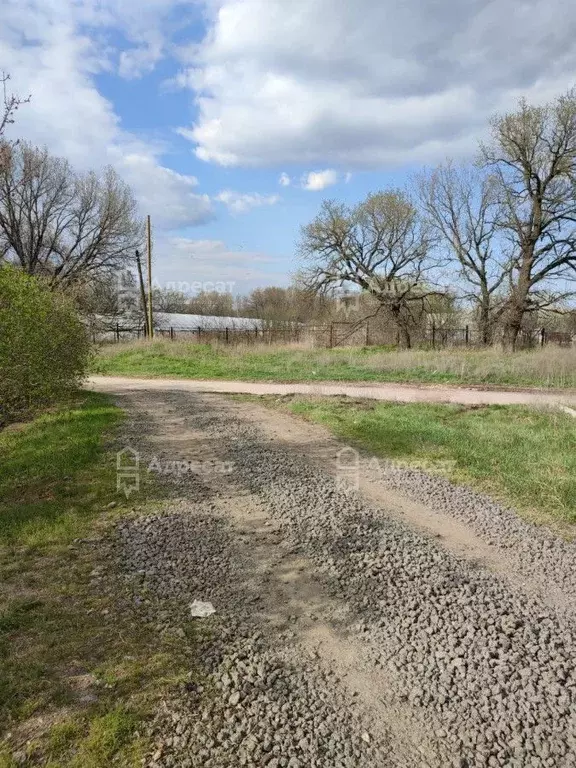 Участок в Волгоградская область, Среднеахтубинский район, Кировское ... - Фото 2