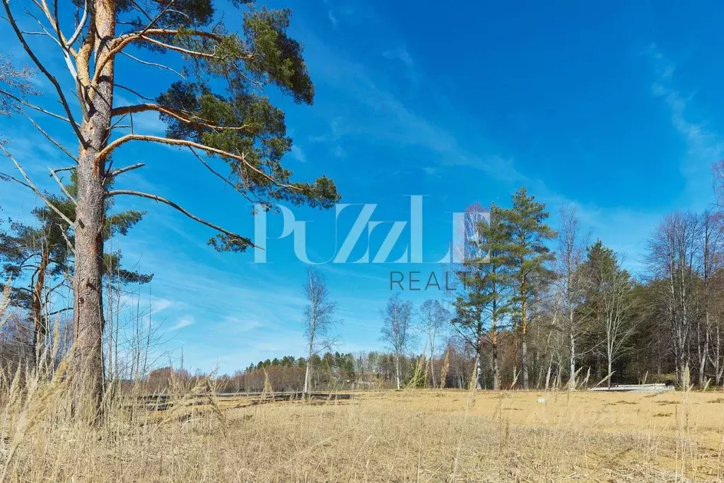 Участок в Ленинградская область, Всеволожский район, Куйвозовское ... - Фото 1