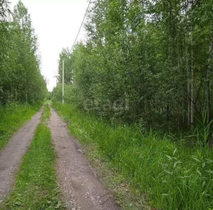 Участок в Вологда, садоводческое товарищество Сохатый (6 м) - Фото 1