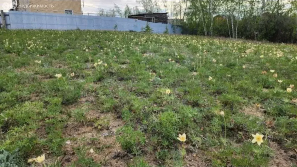 Участок в Якутск, Яблочная улица (10 м) - Фото 1