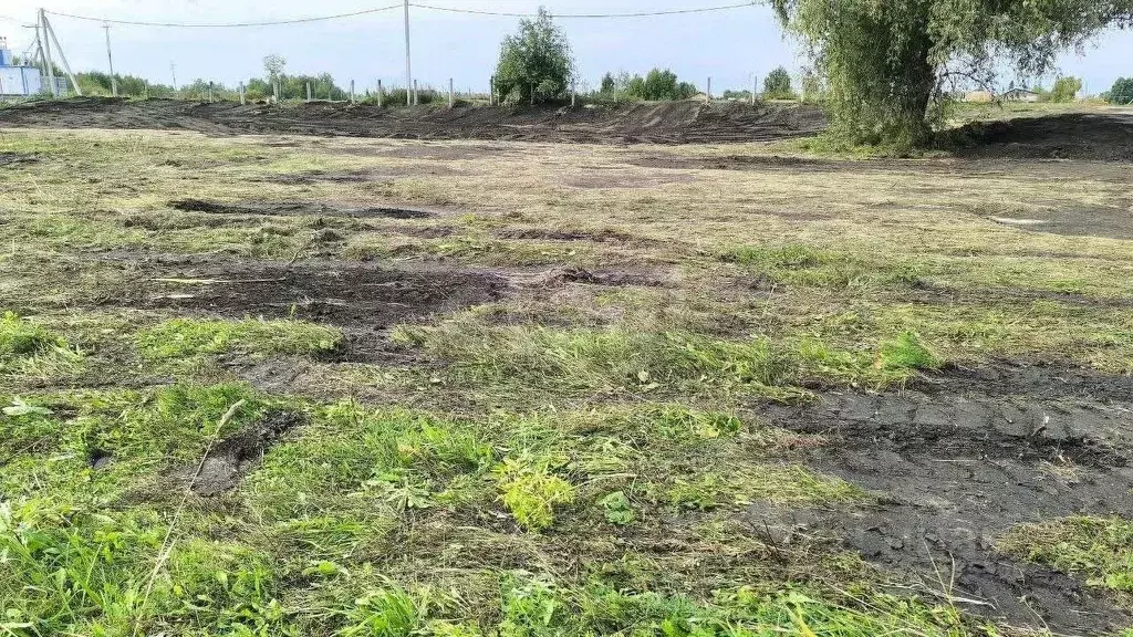 Участок в Тюменская область, Тюменский муниципальный округ, ... - Фото 2