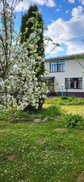 Дом в Псковская область, Пушкиногорье городское поселение, д. Воронич ... - Фото 1