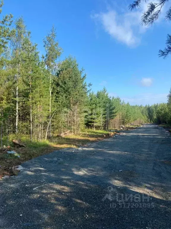 Участок в Свердловская область, Екатеринбург Лесные Тропы тер.,  (10.0 ... - Фото 0