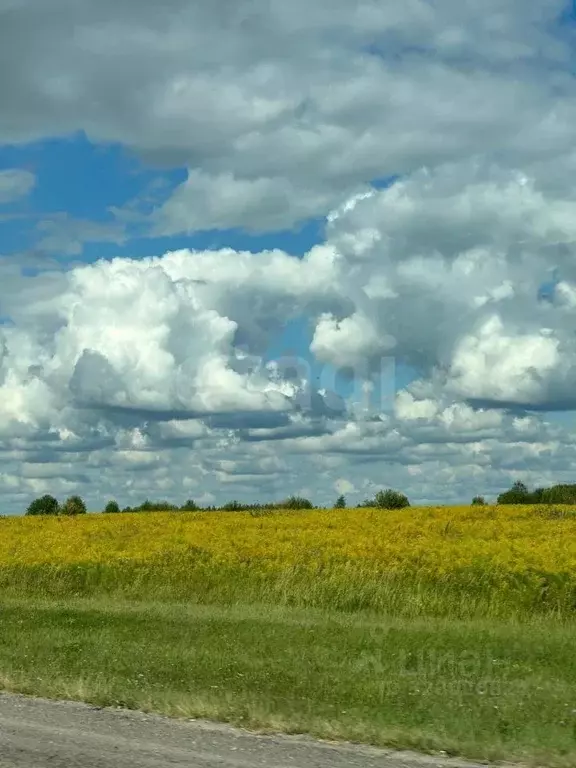 Участок в Тульская область, Ясногорский район, Иваньковское с/пос, с. ... - Фото 1