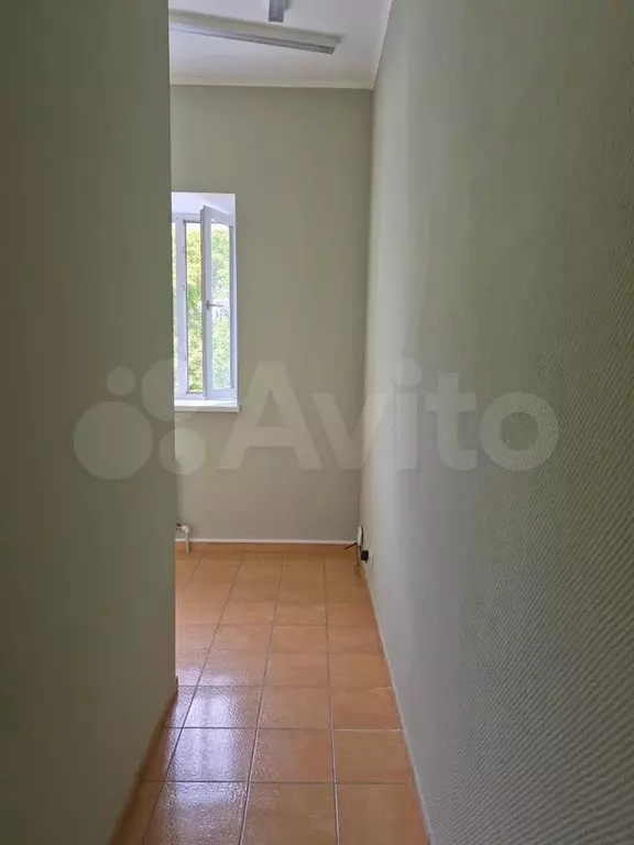 Свободного назначения, 10 м - Фото 1