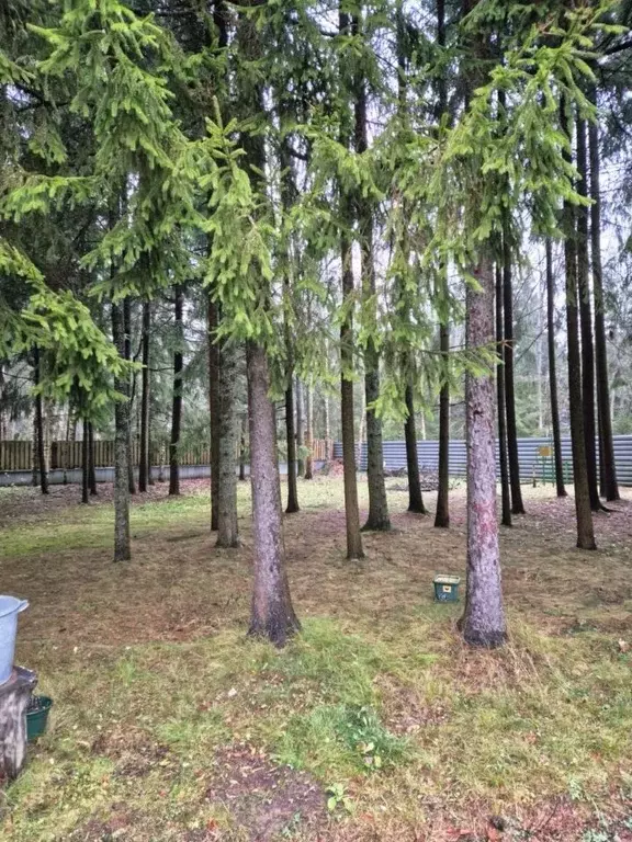 Участок в Москва пос. Армейский, Конверсия дачно-садоводческий ... - Фото 2