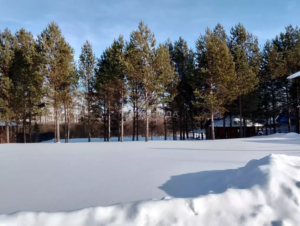 Участок в Новосибирская область, Новосибирский район, Кубовинский ... - Фото 0