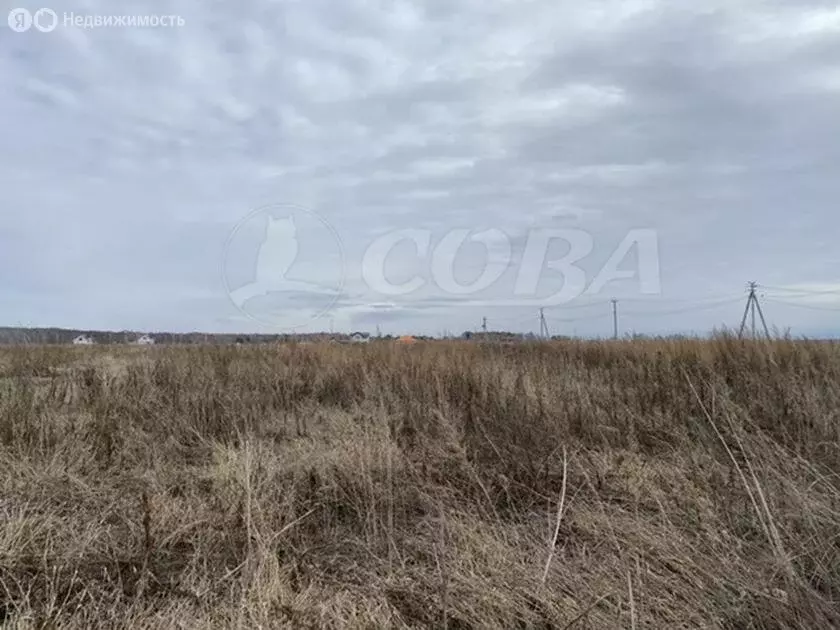 Участок в Тюменский район, деревня Решетникова (7.6 м) - Фото 1