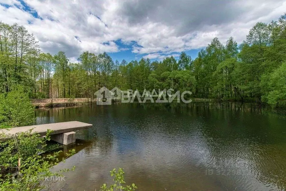 Участок в Владимирская область, Судогодский район, д. Ладога, Ладога ... - Фото 1