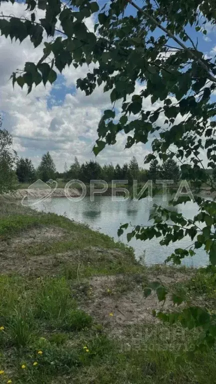 Участок в Тюменская область, Тюменский район, Новокаменский кп ул. ... - Фото 1