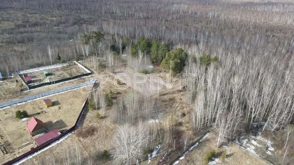 Участок в Тюменская область, Нижнетавдинский муниципальный округ, пос. ... - Фото 1