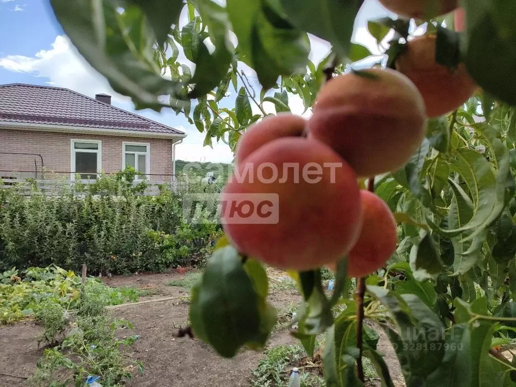 Дом в Краснодарский край, Анапа муниципальный округ, с. Варваровка ул. ... - Фото 1