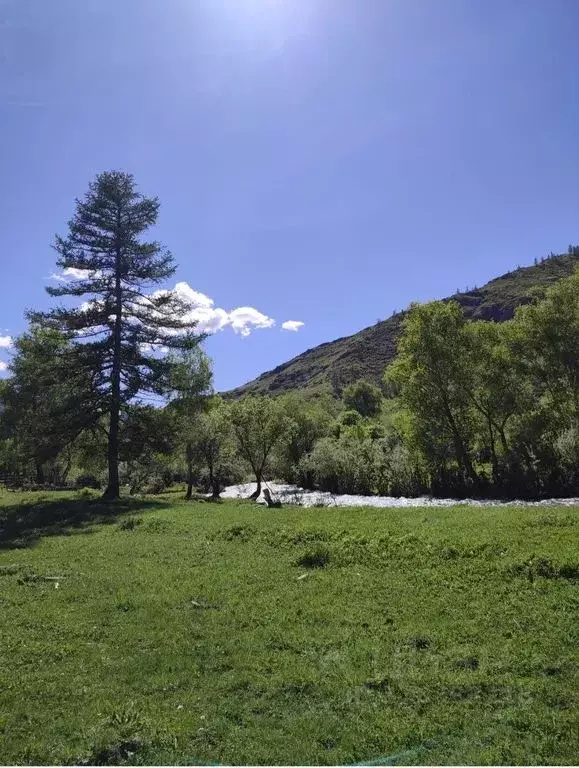 Комната Алтай, Онгудайский район, с. Хабаровка Северная ул., 43 - Фото 2