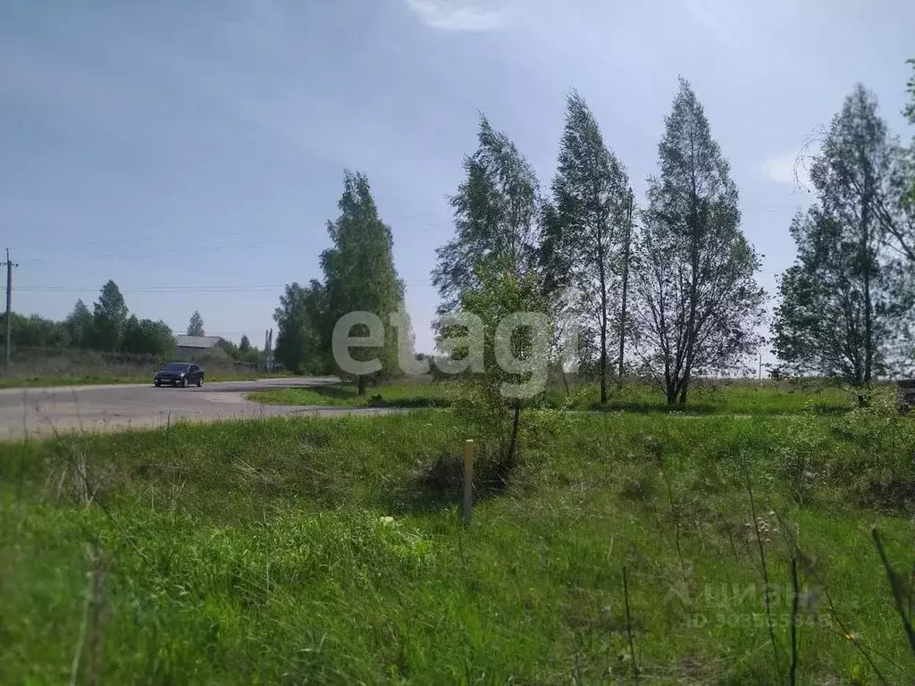Участок в Брянская область, Брянский район, Глинищевское с/пос, с. ... - Фото 1