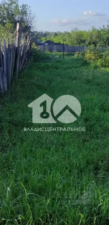 Участок в Новосибирская область, Новосибирск Восход Пашинский ТСН, ул. ... - Фото 2