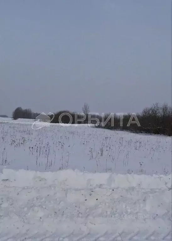 Участок в Тюменская область, Тюменский район, д. Марай  (7.5 сот.) - Фото 1