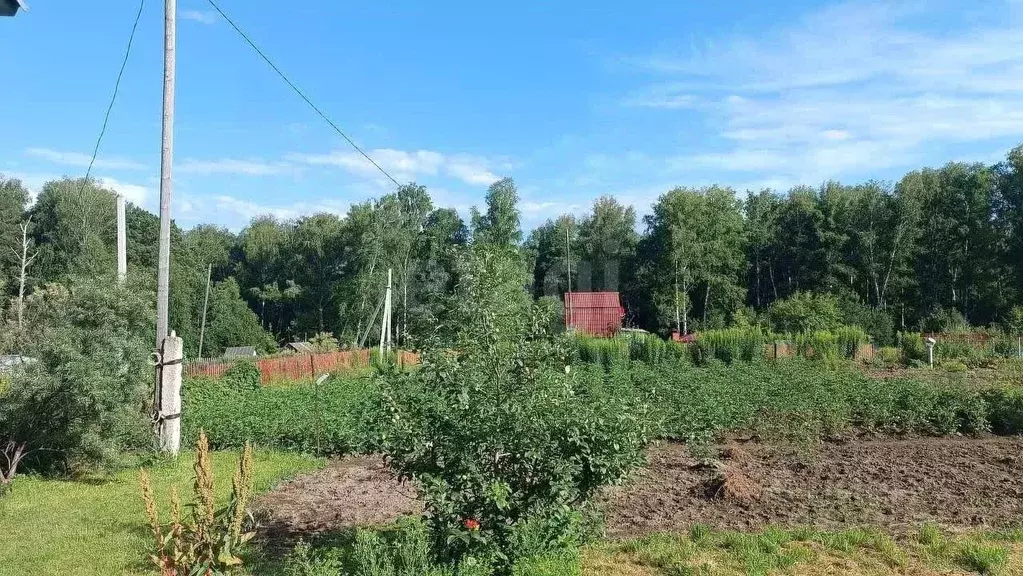 Участок в Новосибирская область, Новосибирский район, Барышевский ... - Фото 1