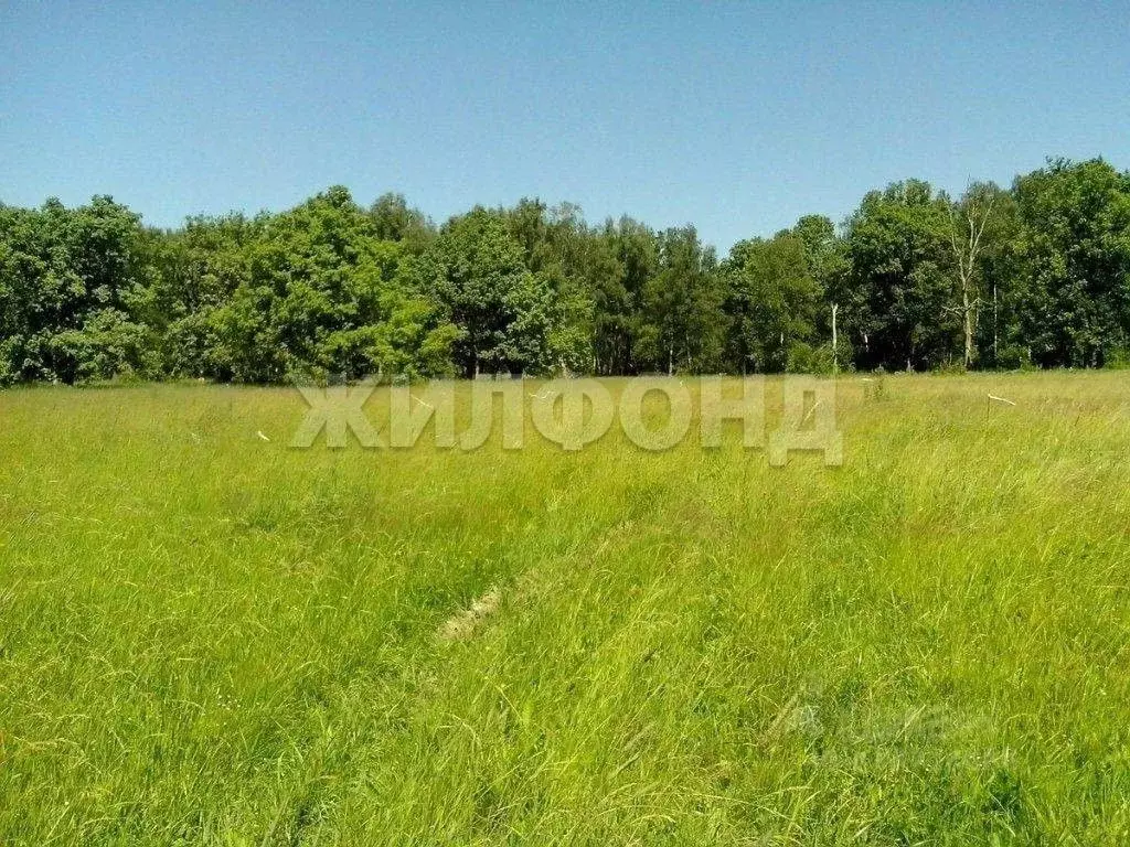 Участок в Новосибирская область, Тогучинский район, Горный рп  (10.41 ... - Фото 1