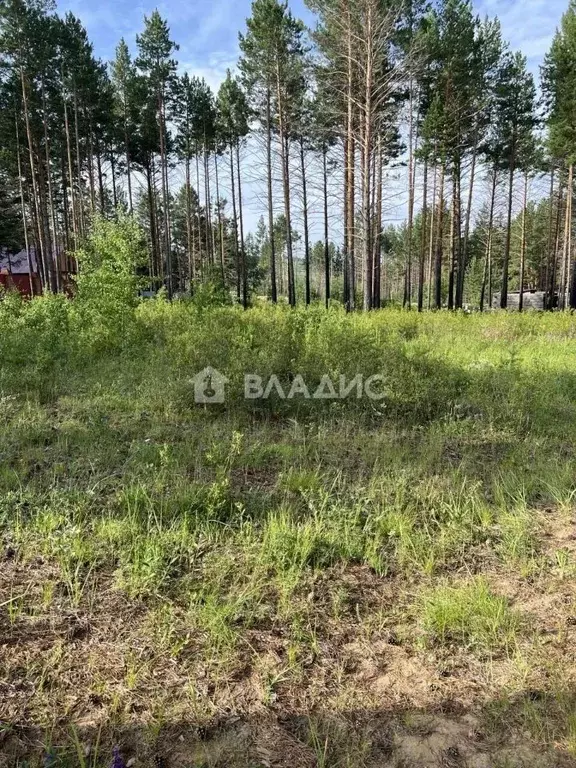 Участок в Забайкальский край, Читинский район, Атамановское городское ... - Фото 0