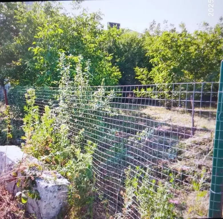 Участок в Ростовская область, Аксайский район, Большелогское с/пос, ... - Фото 2