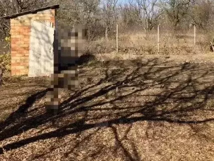 Дом в Краснодарский край, Ейское городское поселение, пос. Широчанка  ... - Фото 0