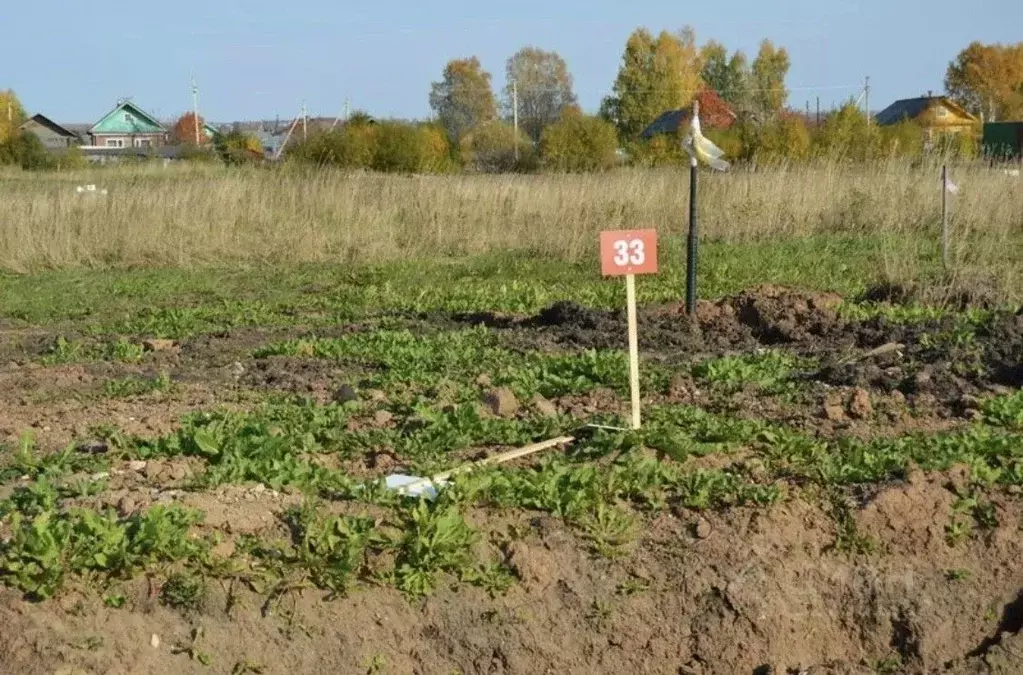 Участок в Ростовская область, Родионово-Несветайский район, ... - Фото 1