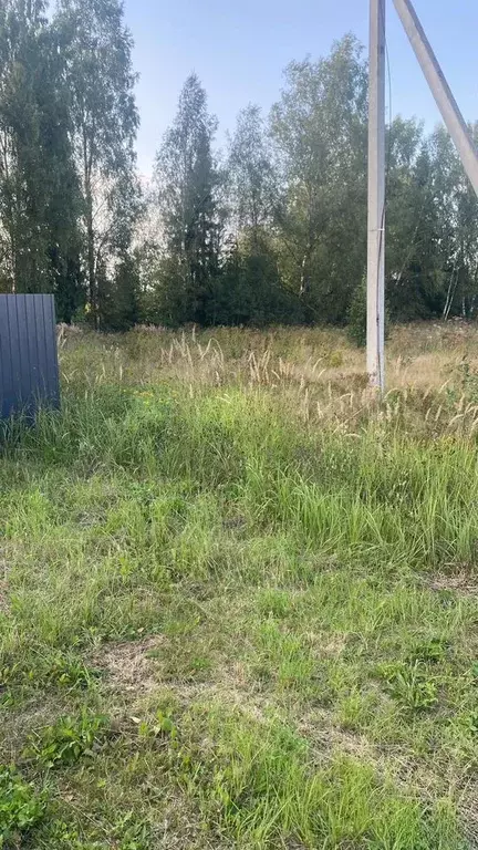 Участок в Московская область, Клин городской округ, Вишневый Сад 2 ДКП ... - Фото 1